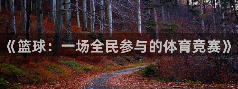 MK体育官网下载是干嘛的公司:《篮球:一场全民参与的体育竞赛