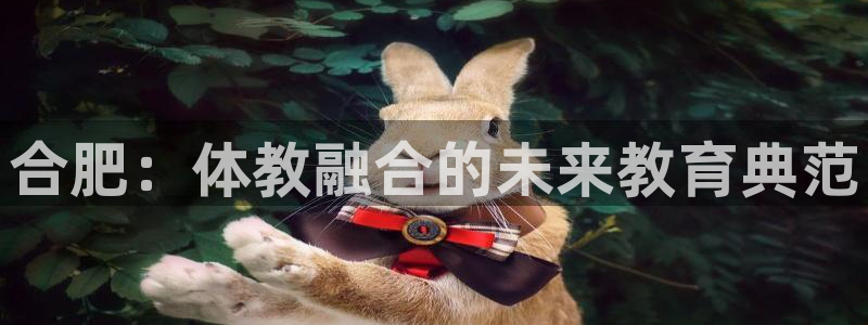 MK体育官网下载平台APP:合肥:体教融合的未来教育典范