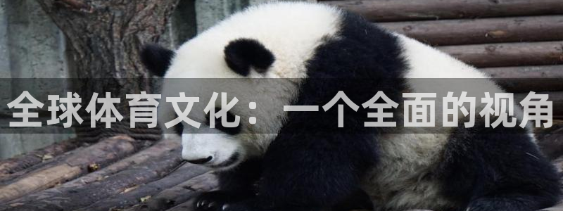 MK体育官网下载平台注册流程图:全球体育文化:一个全面的视角